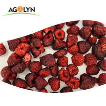 High Nutritionl Red Dried Raspberry